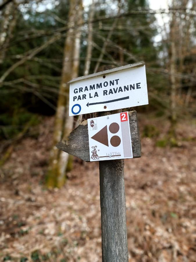 Gite De La Ravanne Ramonchamp المظهر الخارجي الصورة